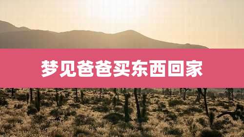 梦见爸爸买东西回家