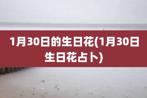 1月30日的生日花(1月30日生日花占卜)