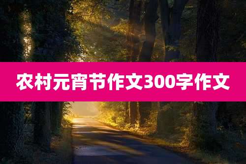 农村元宵节作文300字作文
