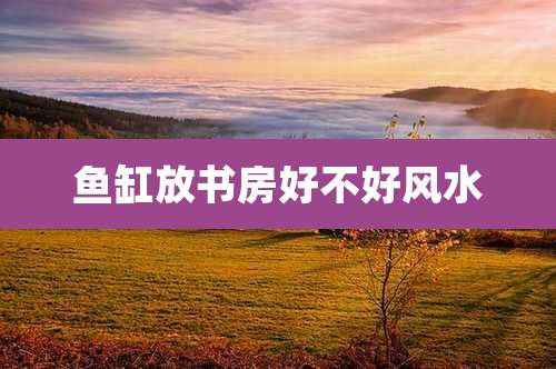 鱼缸放书房好不好风水