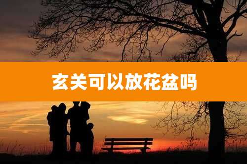 玄关可以放花盆吗