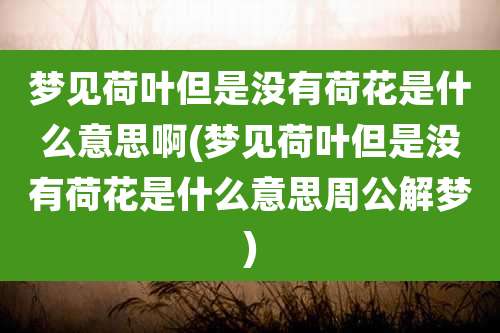 梦见荷叶但是没有荷花是什么意思啊(梦见荷叶但是没有荷花是什么意思周公解梦)
