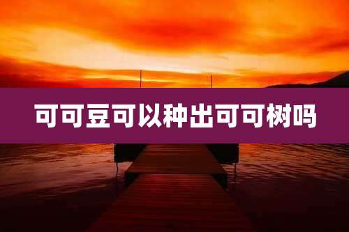 可可豆可以种出可可树吗