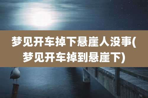 梦见开车掉下悬崖人没事(梦见开车掉到悬崖下)