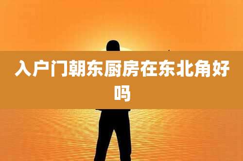 入户门朝东厨房在东北角好吗