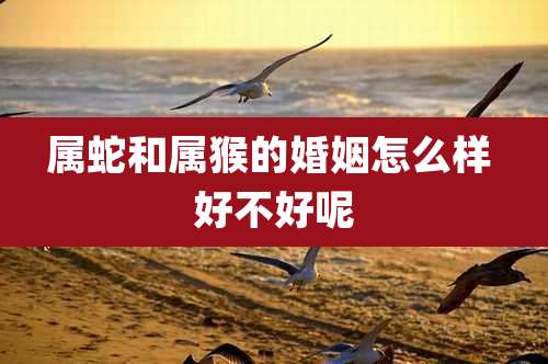 属蛇和属猴的婚姻怎么样 好不好呢