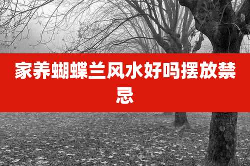 家养蝴蝶兰风水好吗摆放禁忌