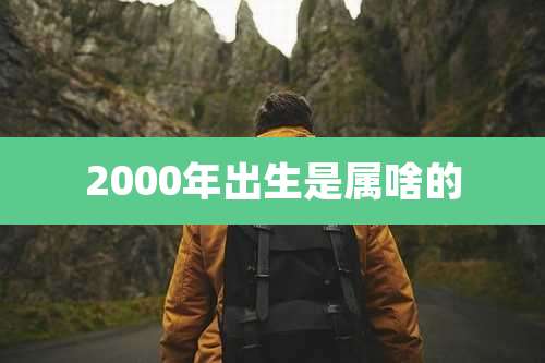 2000年出生是属啥的