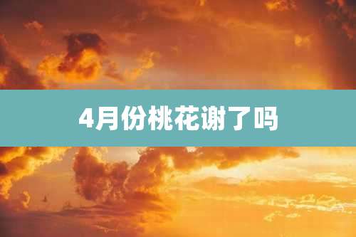4月份桃花谢了吗