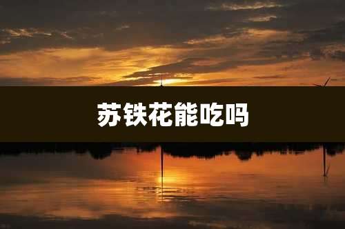 苏铁花能吃吗