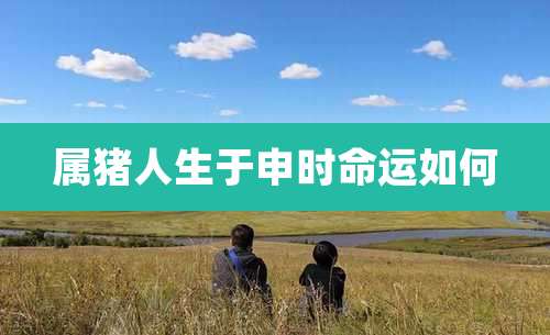 属猪人生于申时命运如何