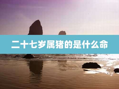 二十七岁属猪的是什么命