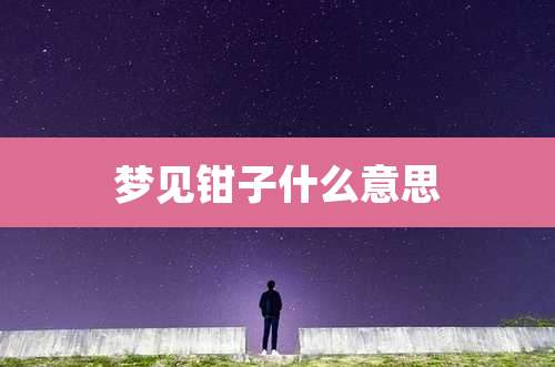 梦见钳子什么意思