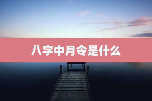 八字中月令是什么