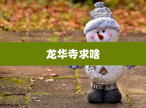 龙华寺求啥