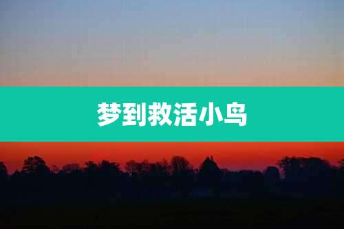 梦到救活小鸟