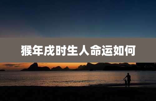 猴年戌时生人命运如何