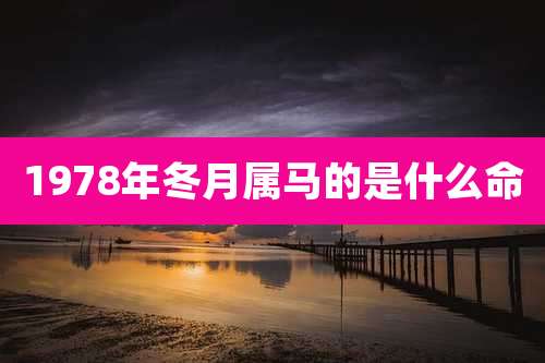 1978年冬月属马的是什么命