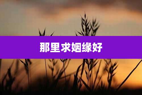 那里求姻缘好