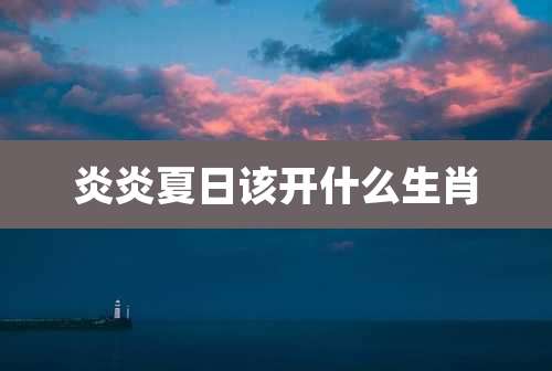 炎炎夏日该开什么生肖