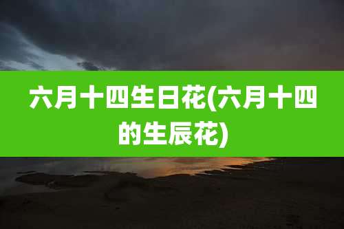 六月十四生日花(六月十四的生辰花)