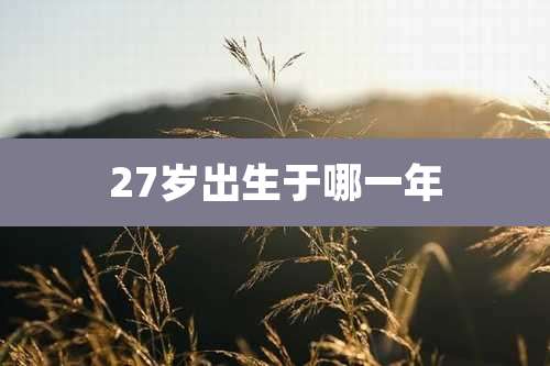 27岁出生于哪一年