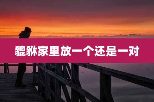 貔貅家里放一个还是一对