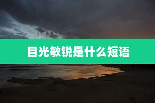 目光敏锐是什么短语