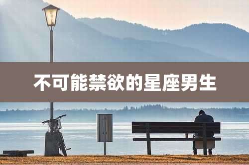 不可能禁欲的星座男生