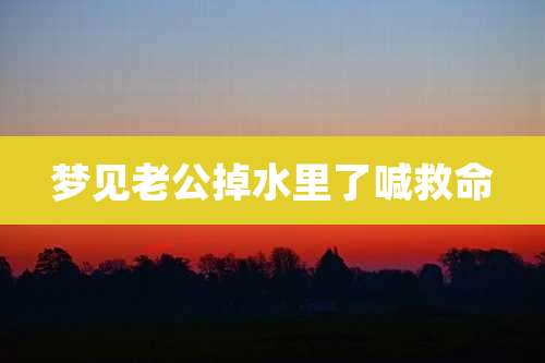 梦见老公掉水里了喊救命