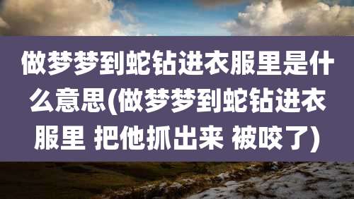 做梦梦到蛇钻进衣服里是什么意思(做梦梦到蛇钻进衣服里 把他抓出来 被咬了)