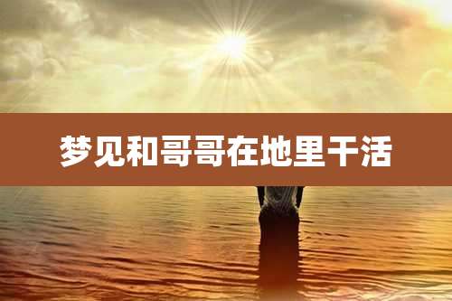 梦见和哥哥在地里干活