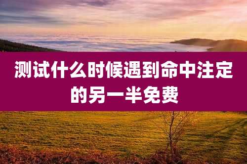 测试什么时候遇到命中注定的另一半免费