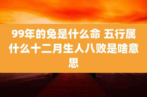 99年的兔是什么命 五行属什么十二月生人八败是啥意思