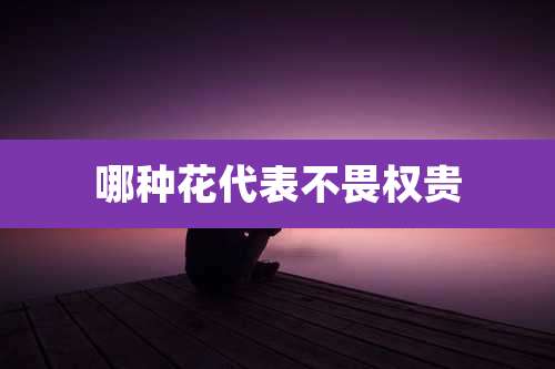 哪种花代表不畏权贵