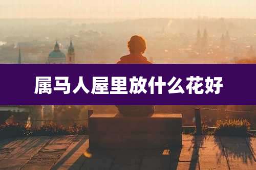 属马人屋里放什么花好