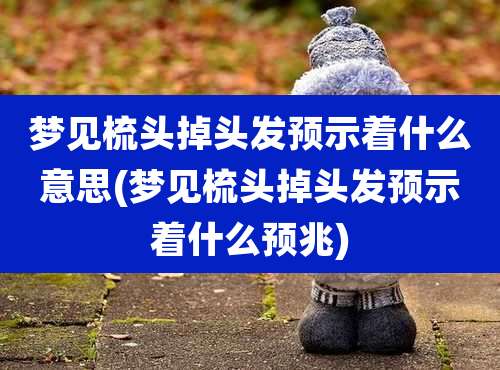 梦见梳头掉头发预示着什么意思(梦见梳头掉头发预示着什么预兆)