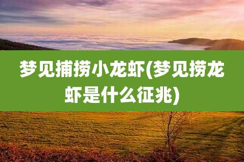 梦见捕捞小龙虾(梦见捞龙虾是什么征兆)