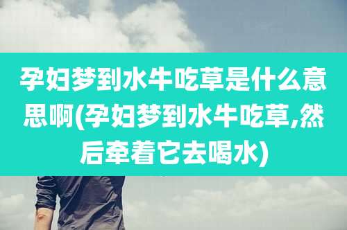 孕妇梦到水牛吃草是什么意思啊(孕妇梦到水牛吃草,然后牵着它去喝水)