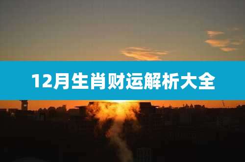 12月生肖财运解析大全