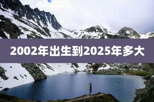 2002年出生到2025年多大