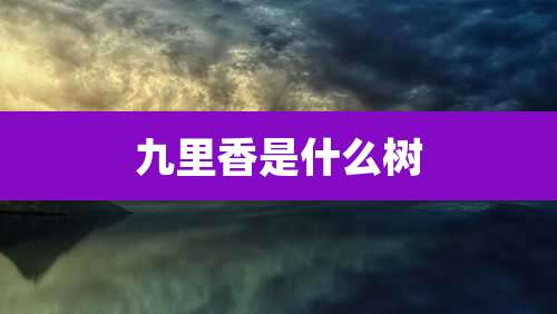 九里香是什么树
