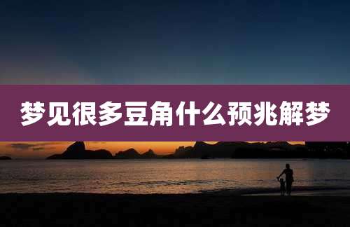梦见很多豆角什么预兆解梦