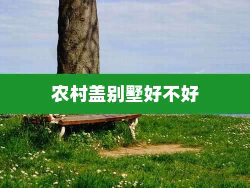 农村盖别墅好不好