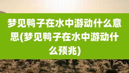 梦见鸭子在水中游动什么意思(梦见鸭子在水中游动什么预兆)