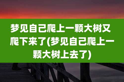 梦见自己爬上一颗大树又 爬下来了(梦见自己爬上一颗大树上去了)