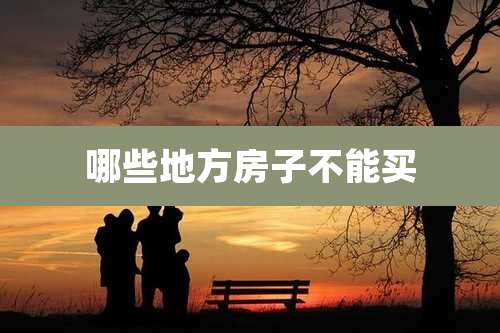 哪些地方房子不能买