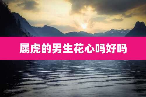 属虎的男生花心吗好吗