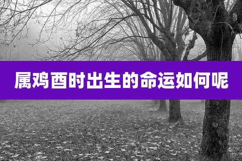 属鸡酉时出生的命运如何呢