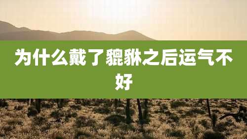 为什么戴了貔貅之后运气不好